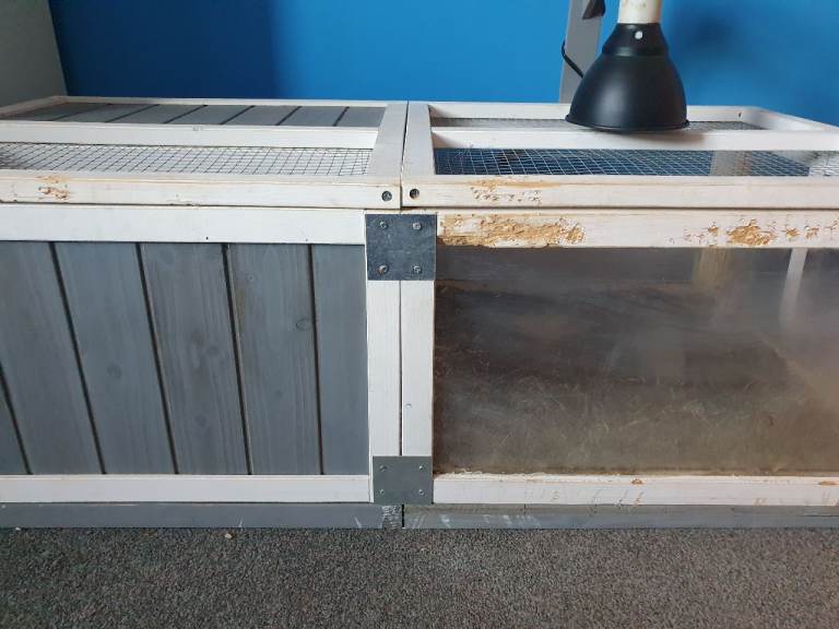 Tortoise Hutch 