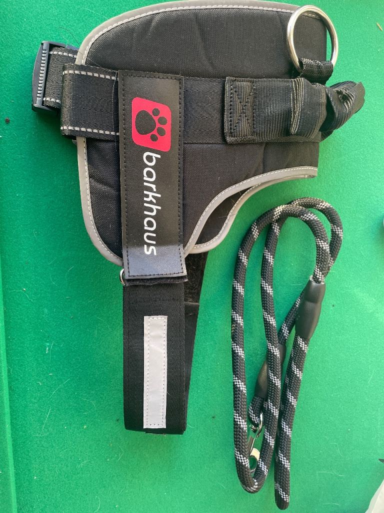 Harness & Lead