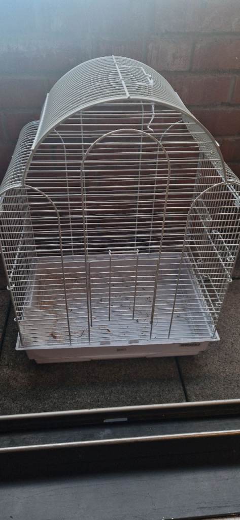 Bird cage 