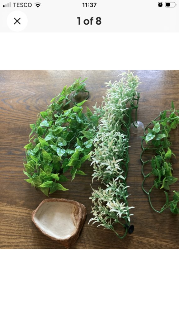 Reptile water bowl and false plants for tank