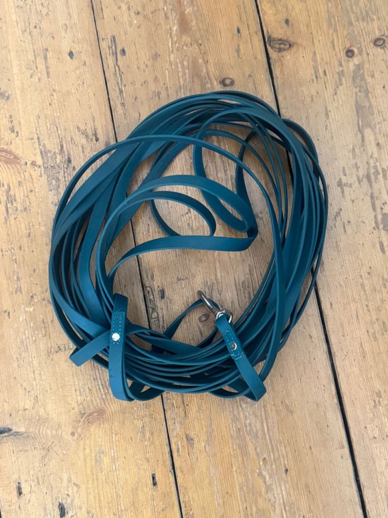 Green Long Leather Lead for Dog Training, Good Condition