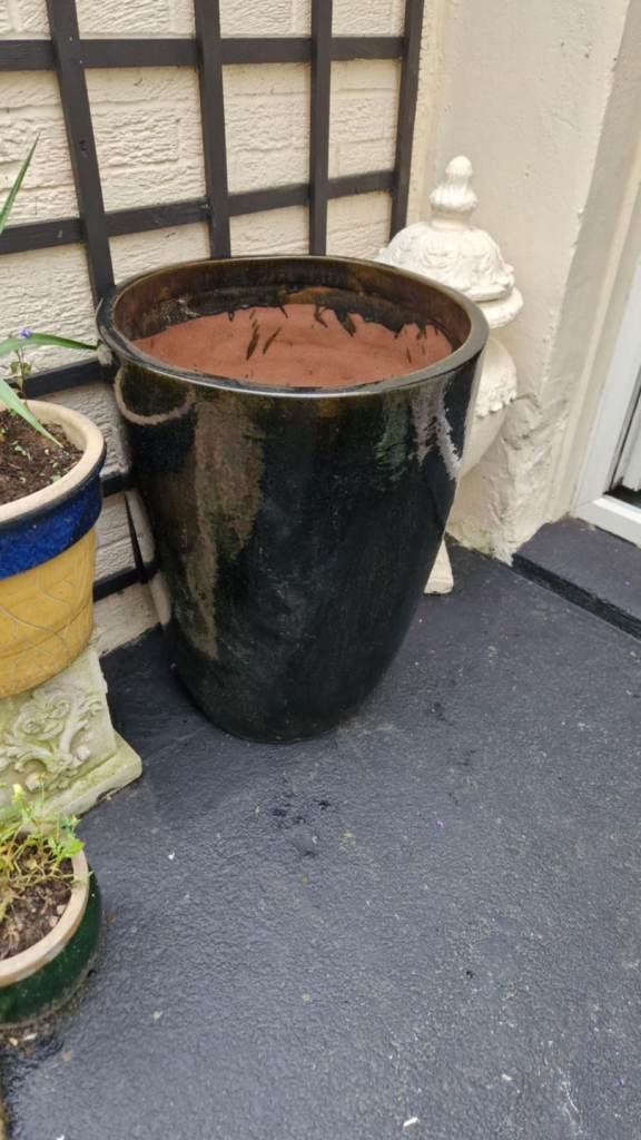 Huge Japanese salt glazed ceramic garden plant pot  