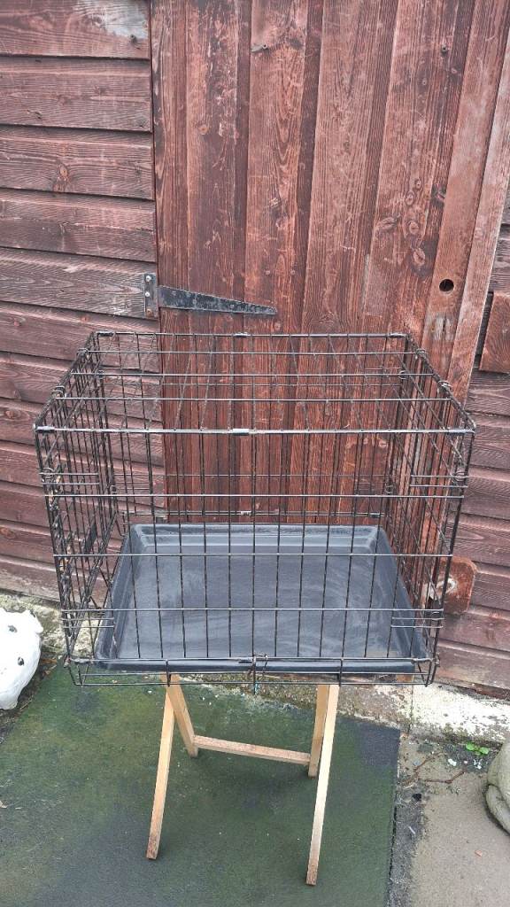 Pet Crate 
