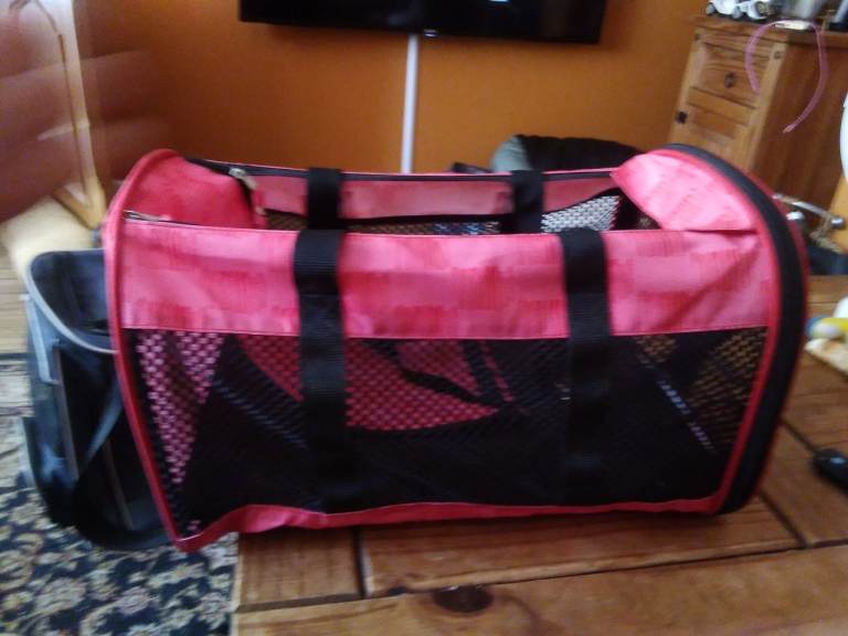 Animal carrier 