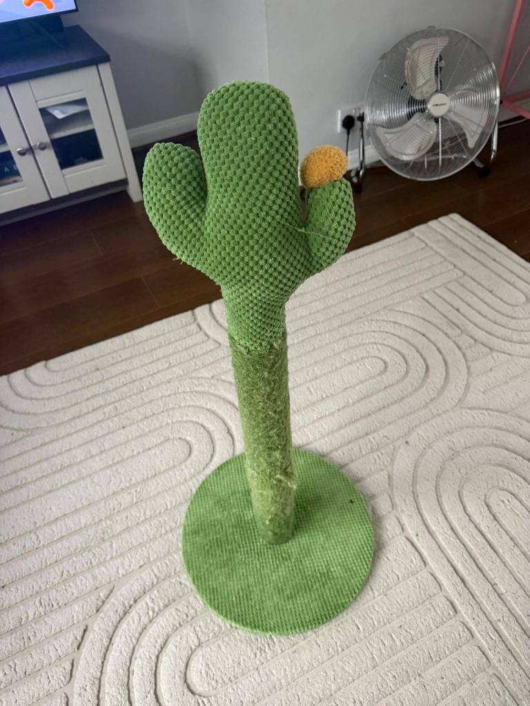 Cactus scratch post for cats 