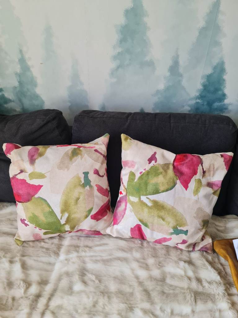 Gorgeous cushions x2