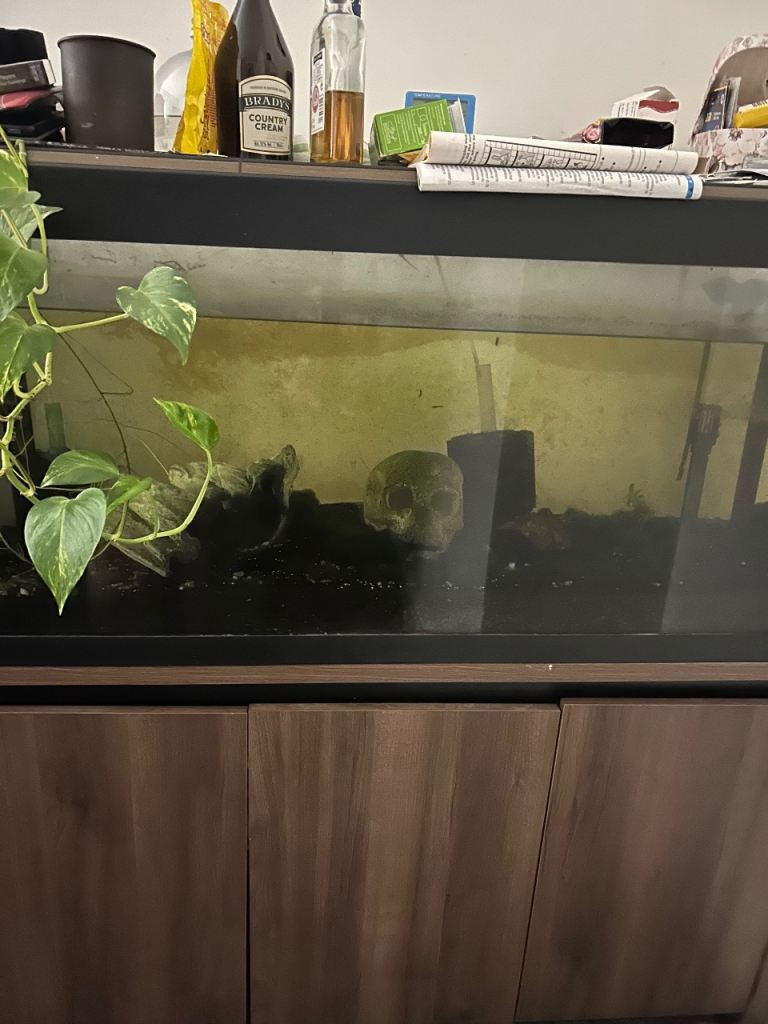 2 x fluval fish tanks for sale full set up 