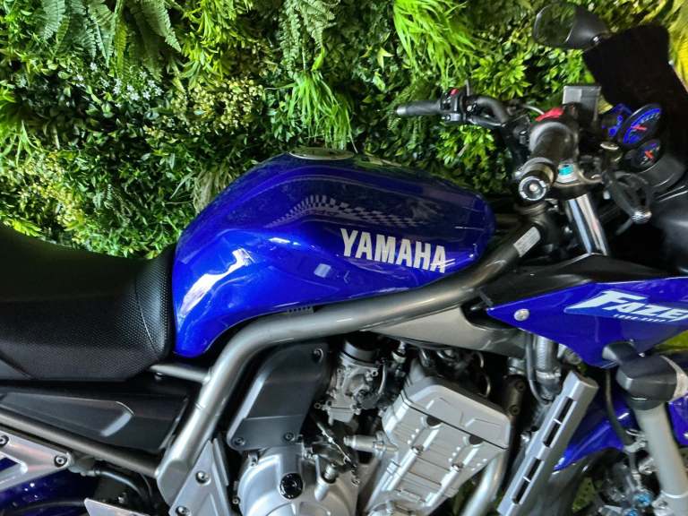 Yamaha FZS 1000 free delivery 