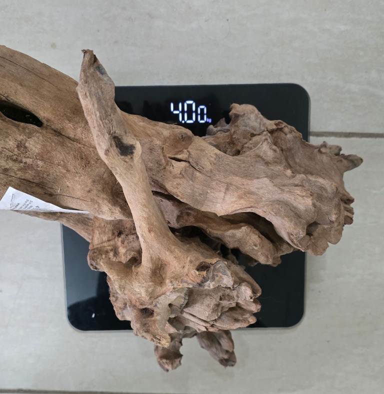 Extra Large Genuine Mojo Mapani Wood for Aquarium, Fish Tank, Vivarium, Aquascaping. Natural Root.