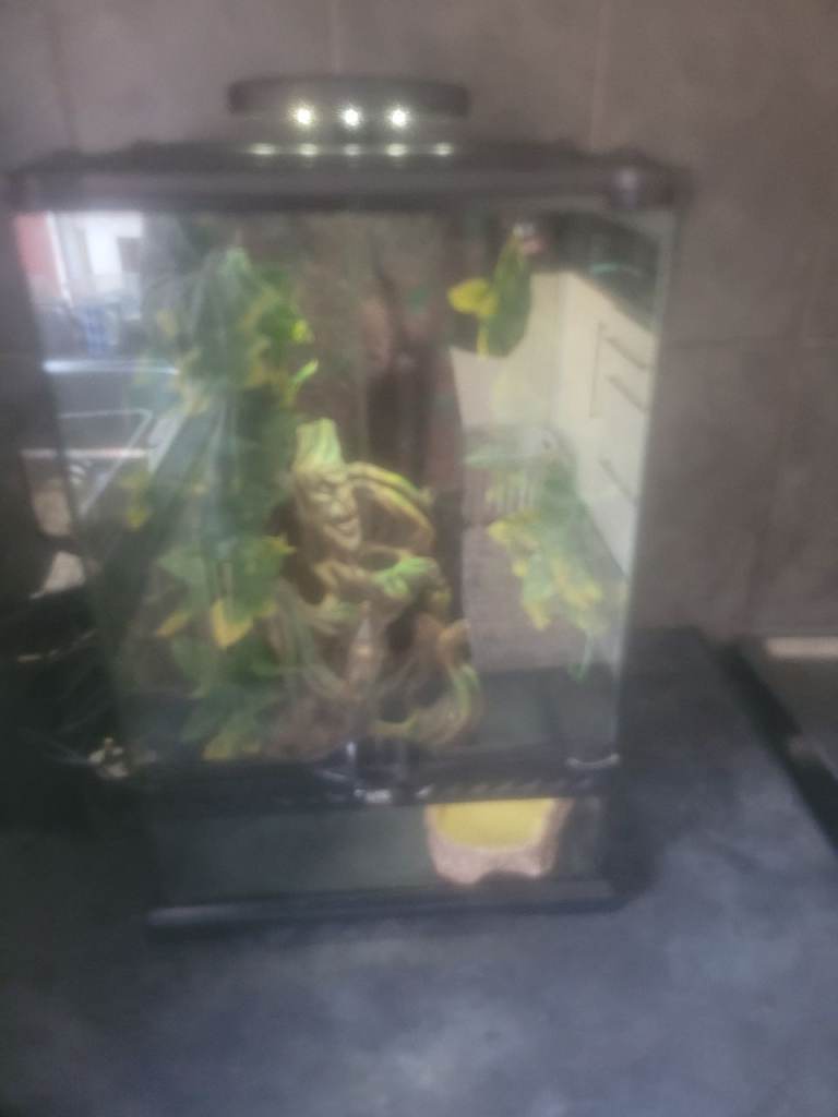 Exo terrarium 
