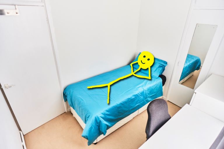 Single Room in De Beauvoir 🏡 there is a Dog 🐶 & Cat 🐱