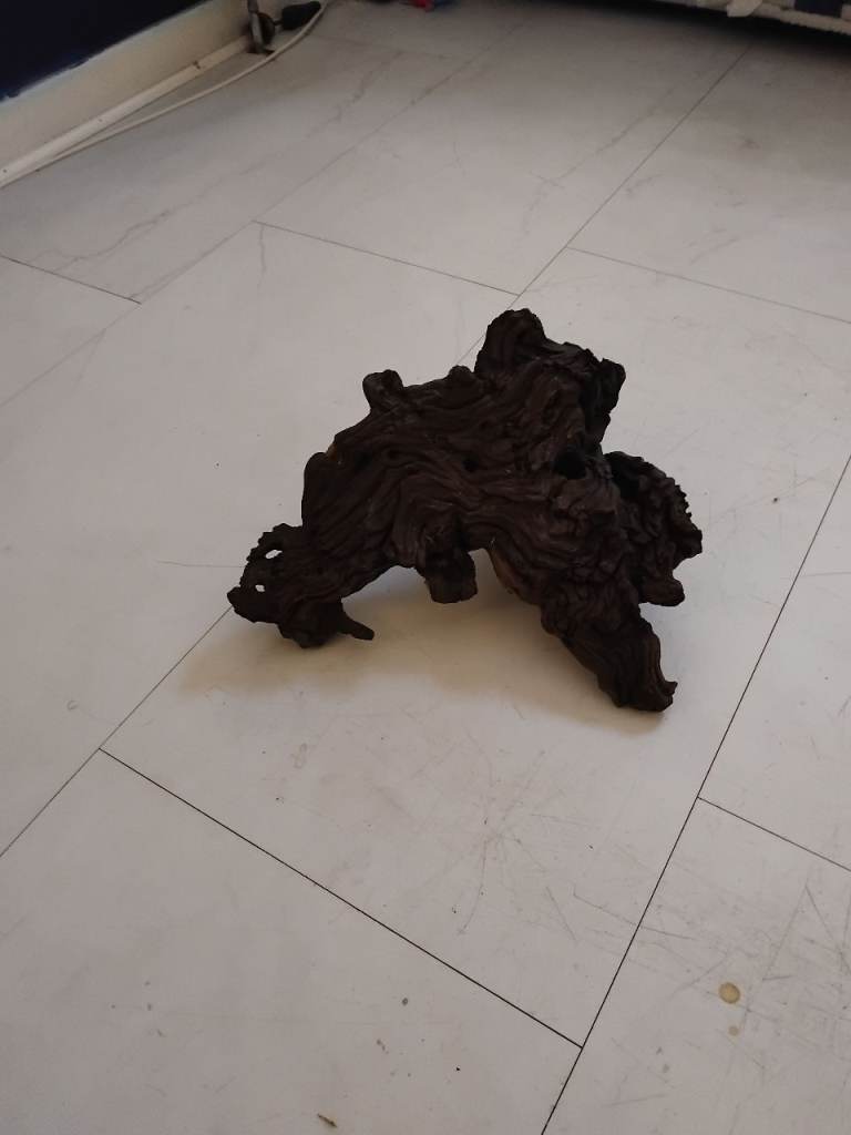 Large piece of driftwood 