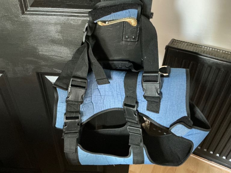 Pet carrier 