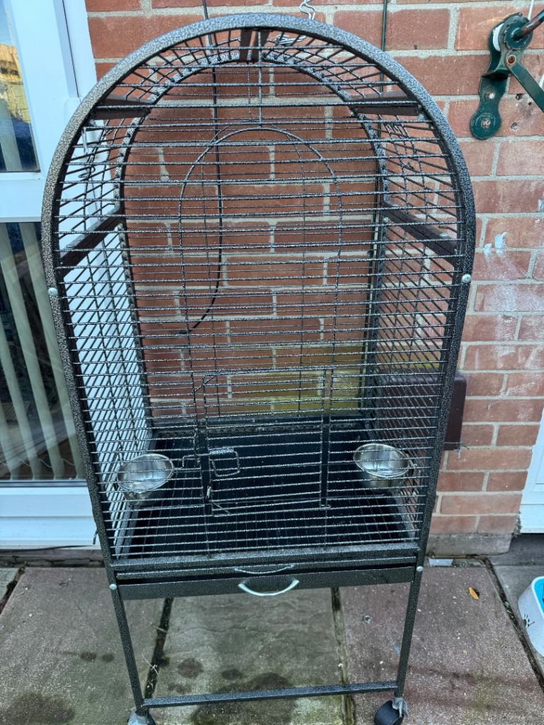Bird cage 
