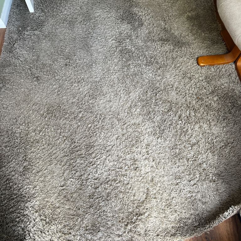 Rug