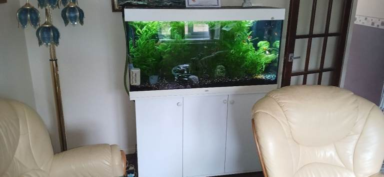 Juwel tank cabinet and fish