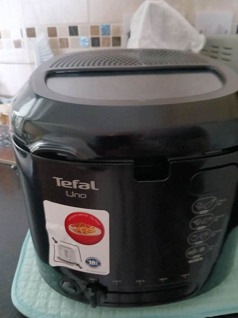 Electric  fryer