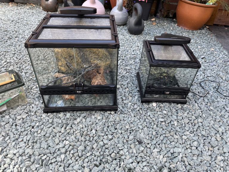 2x EXO Terra Terrarium