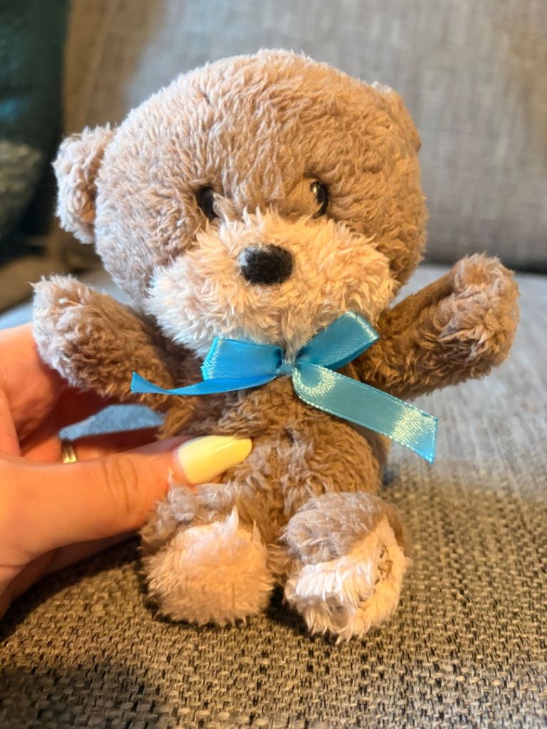 Hugs small teddy 