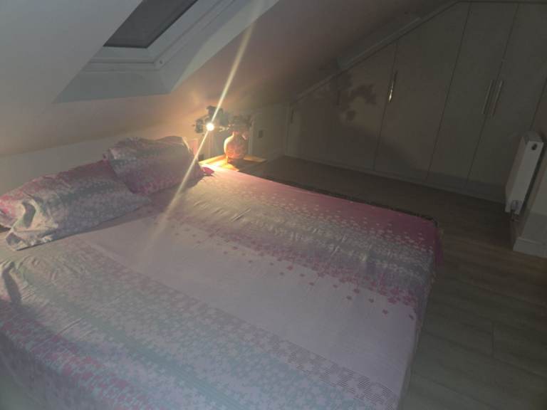 A Big room for a Professional with attached Bathroom