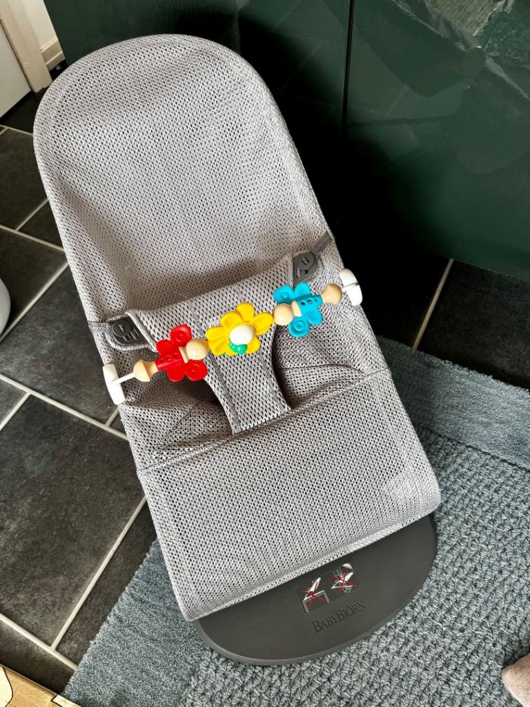 BabyBjörn Baby Bouncer – Excellent Condition
