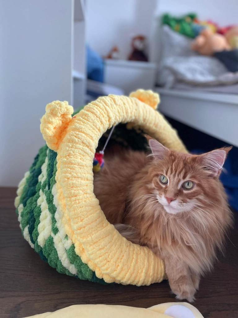 Cat Caves / small dogs 