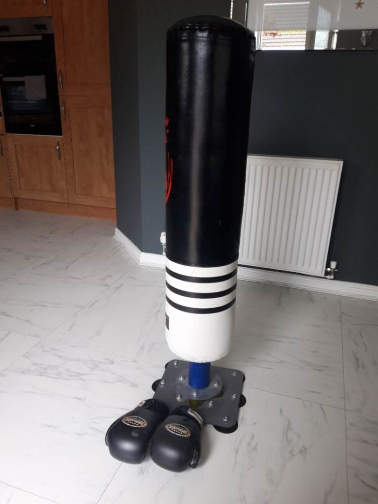 Kids punch bag and boxing gloves