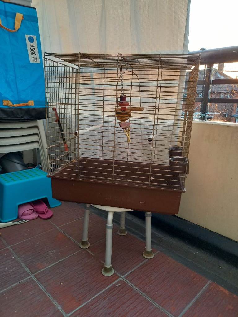 BIRD CAGE 