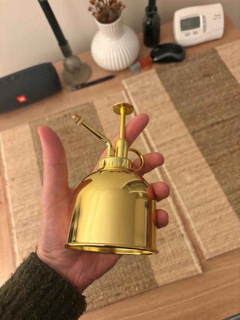 Gold Planter/Spray