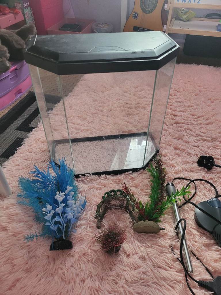 Full set up aquarium all included!