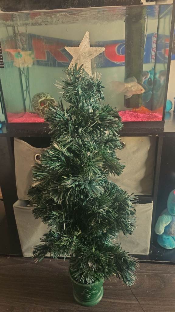 Small light up Christmas Tree 