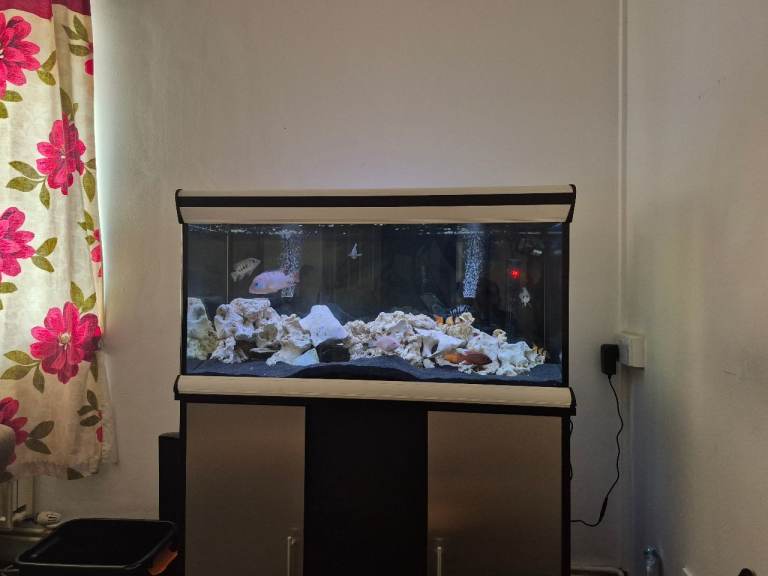 3ft tank and stand only (Swap)