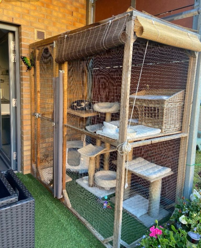 Catio