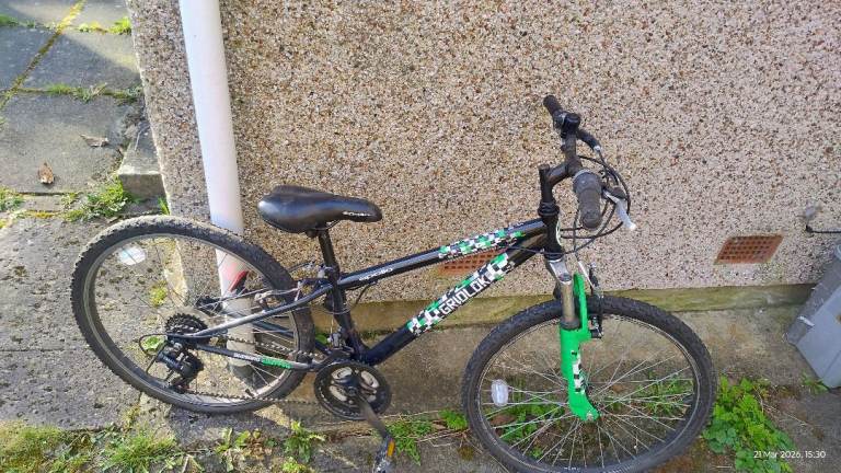 Junior Mountain Bike (£20 for charity)