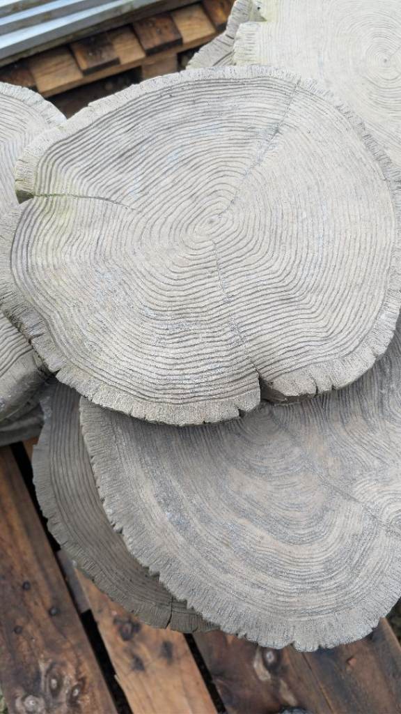 Westminster log effect stepping stones