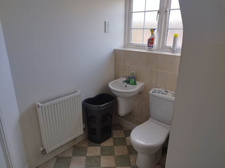 Large en-suite room to rent 