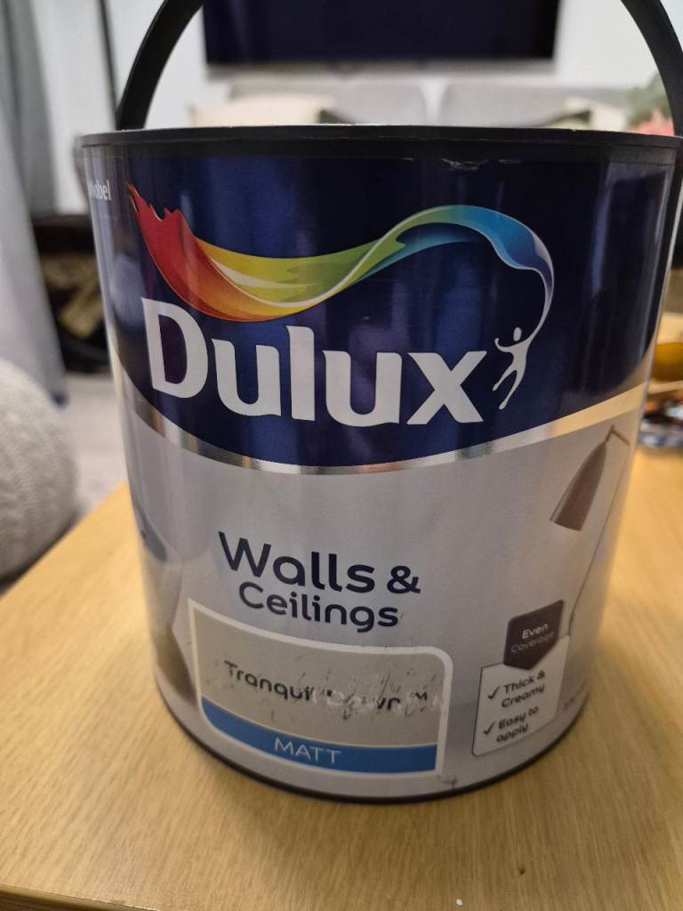 DULUX PAINT