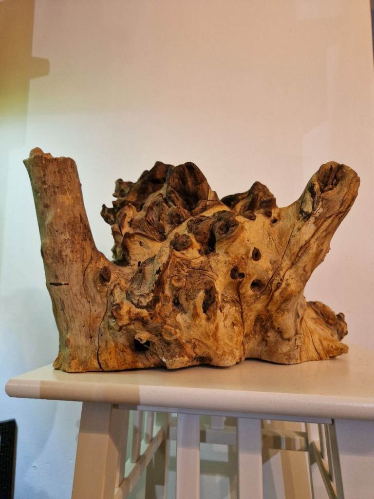 Large Piece of driftwood 