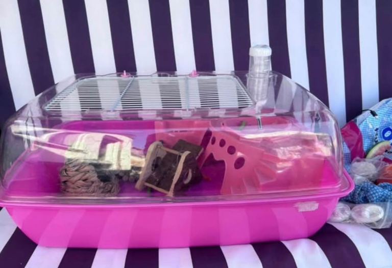 Small Animal cage