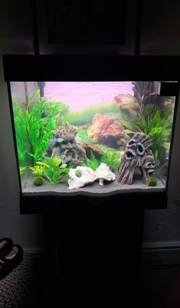 Juwel Aquarium & Stand Complete Set