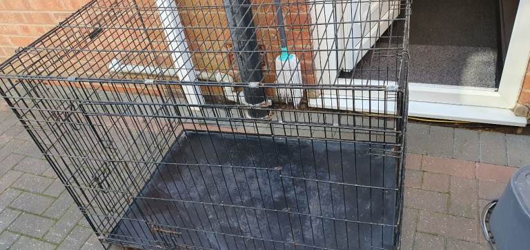 Dog crates and pens 