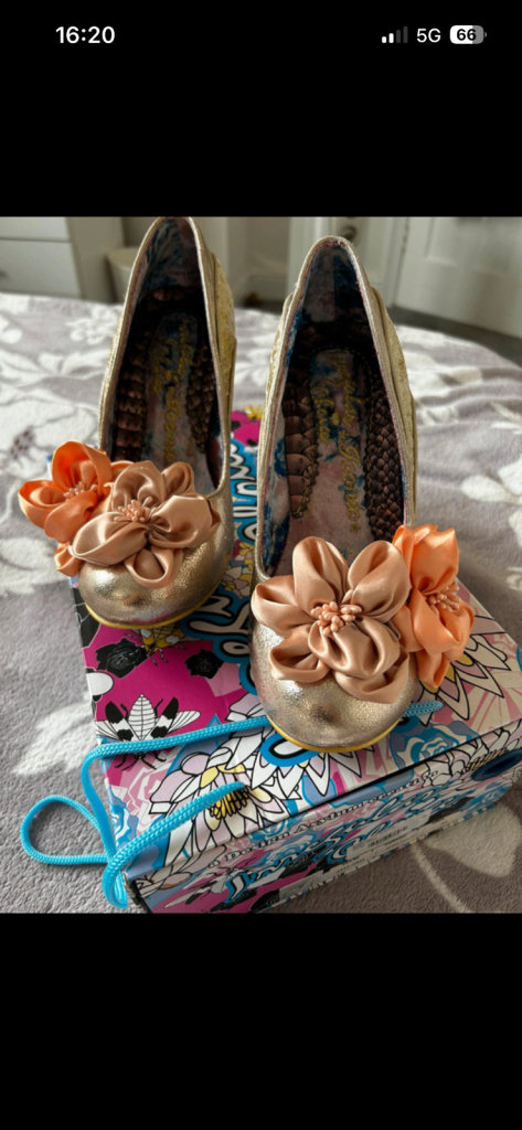 image for Irregular choice shoes