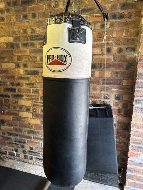 Pro-box heavy bag