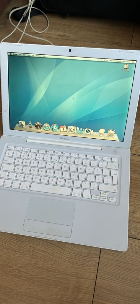 Apple MacBook A1181 - works fine - works when plugged in only as battery wont hold charge