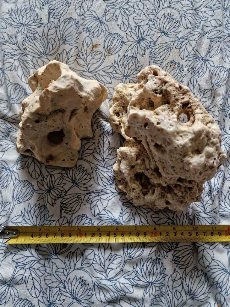 Texas Holey Rock 