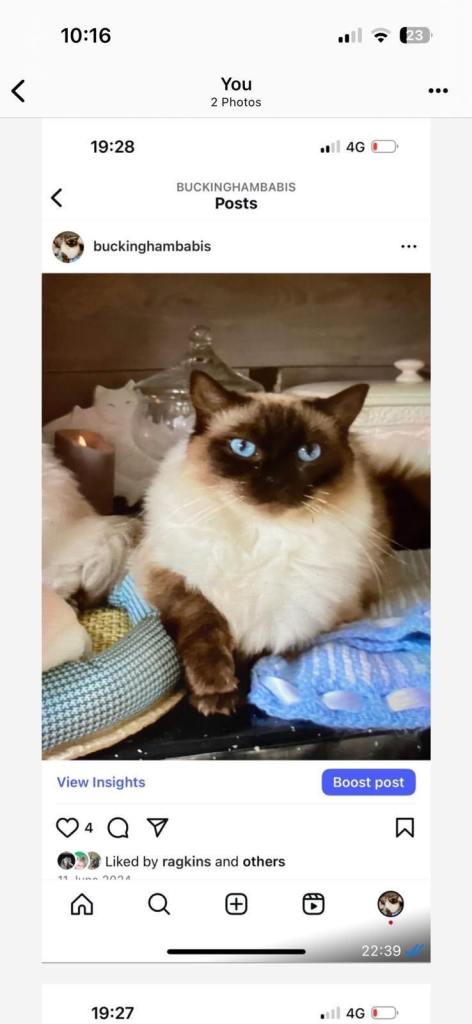 GCCF ACTIVE Register Queen