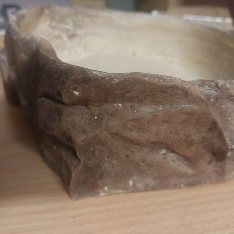 4ft Vivarium with accessories