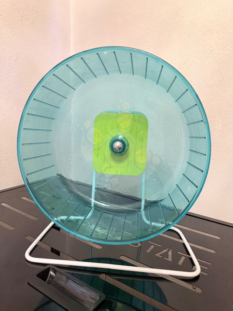 rat wheel
