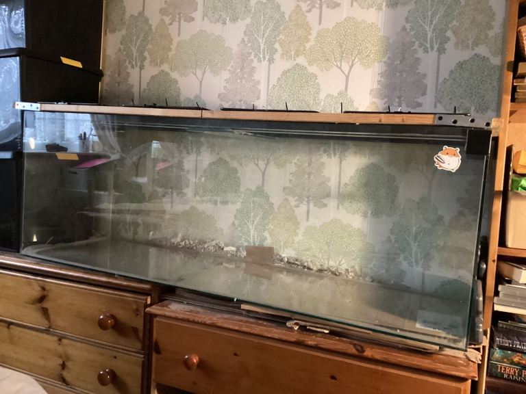 Gerbil or hamster tank