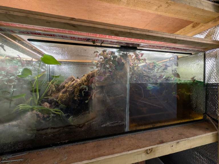  aquarium / fish tank/ paludarium 